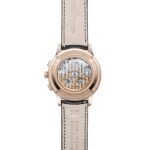 Master Control Chronograph Calendar Q413257J - 图片 2